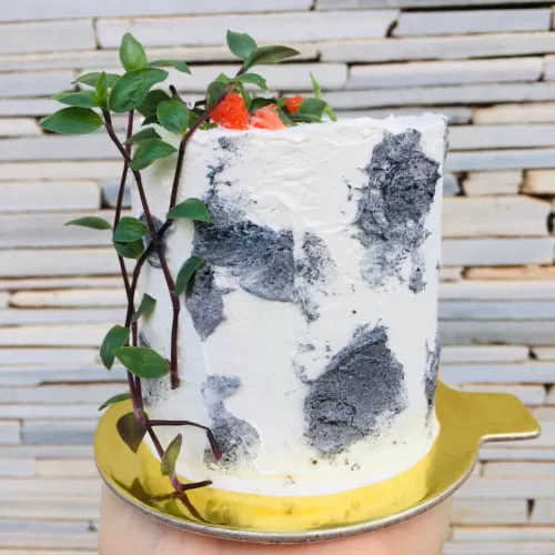 Maria fuê Bolo Vegano SP